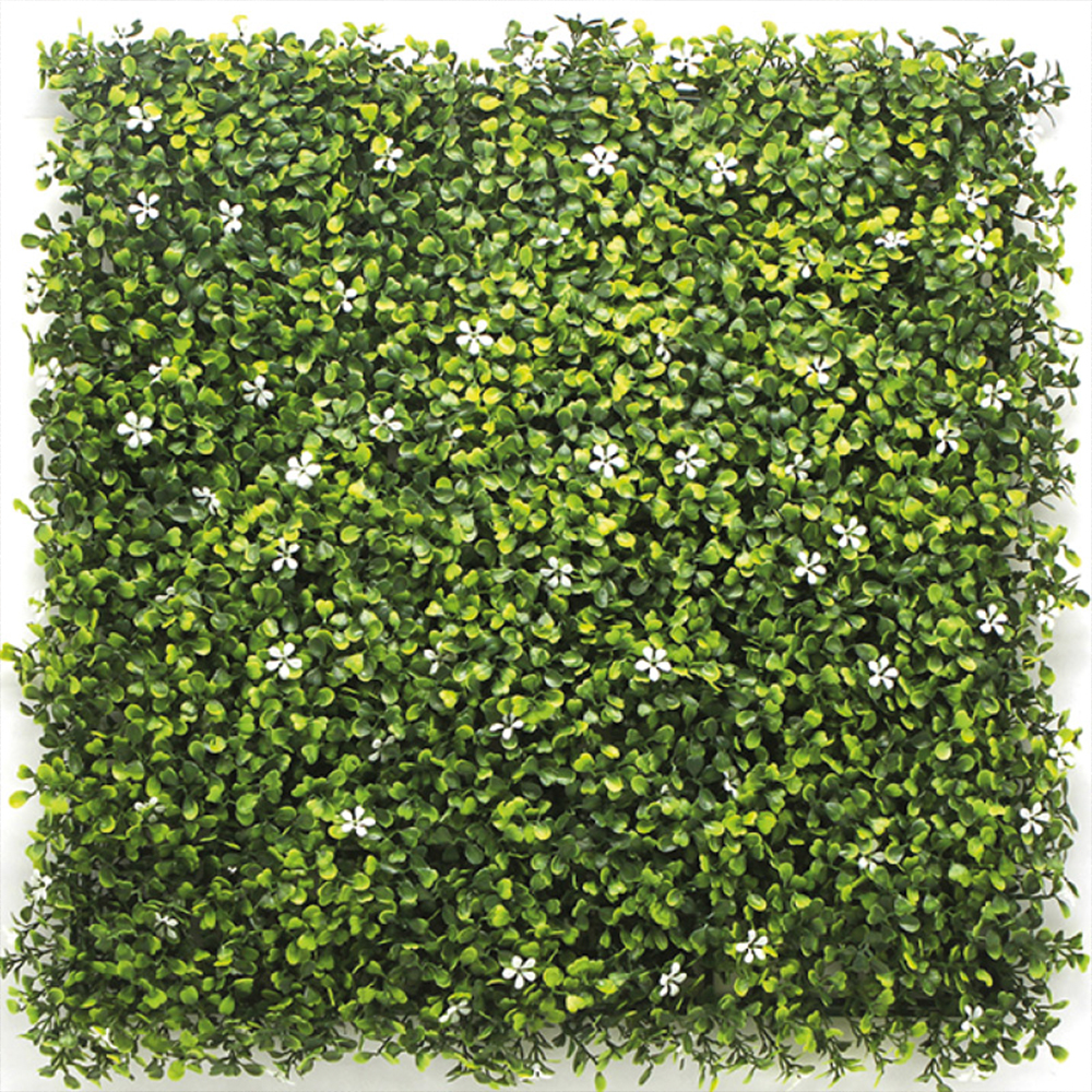 Jardin Vertical 50x50 Jasmine