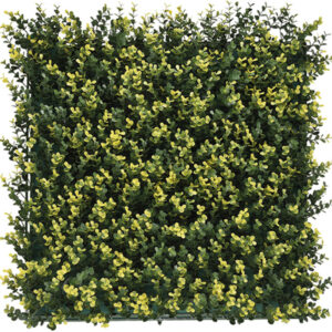 Jardin Vertical 50x50 Buxus Yellow