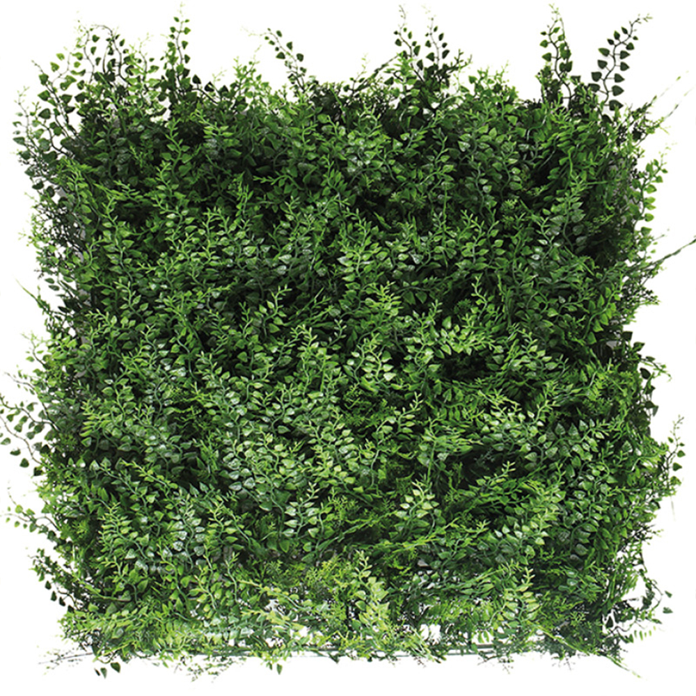 Jardin Vertical 50x50 Fern