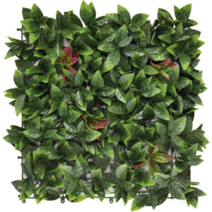 Jardin Vertical 50x50 Photinia