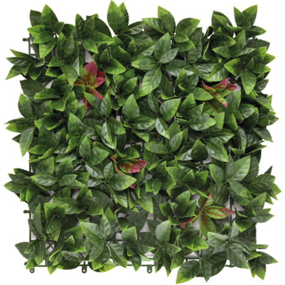 Jardin Vertical 50x50 Photinia