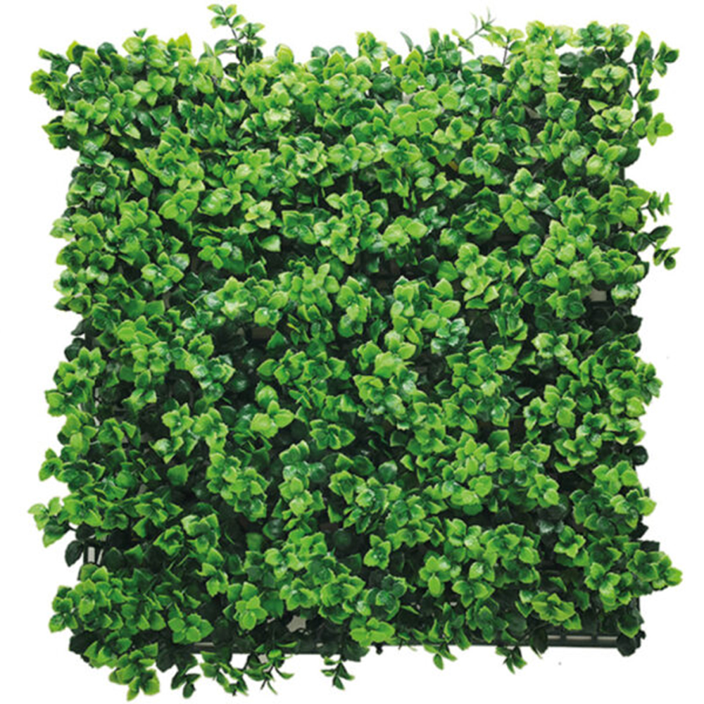 Jardin Vertical 50x50 Pachysandra Green