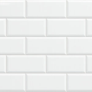 Brick Blanco Brillo 10x20