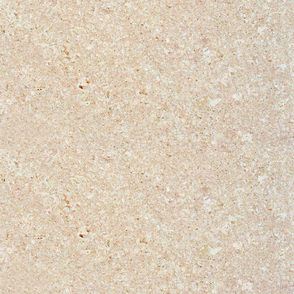 Travertino Fosil 40x60x1,5