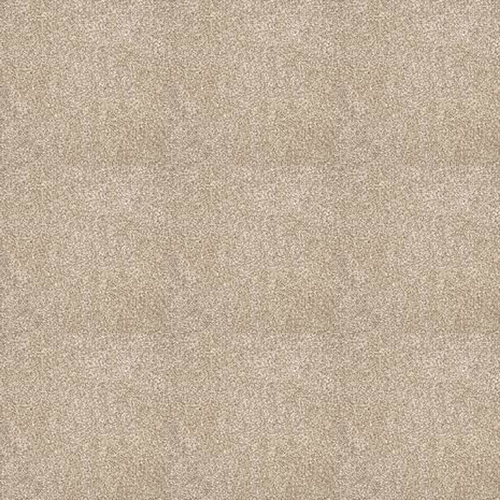 Alfombra Aqua Leather 4mt