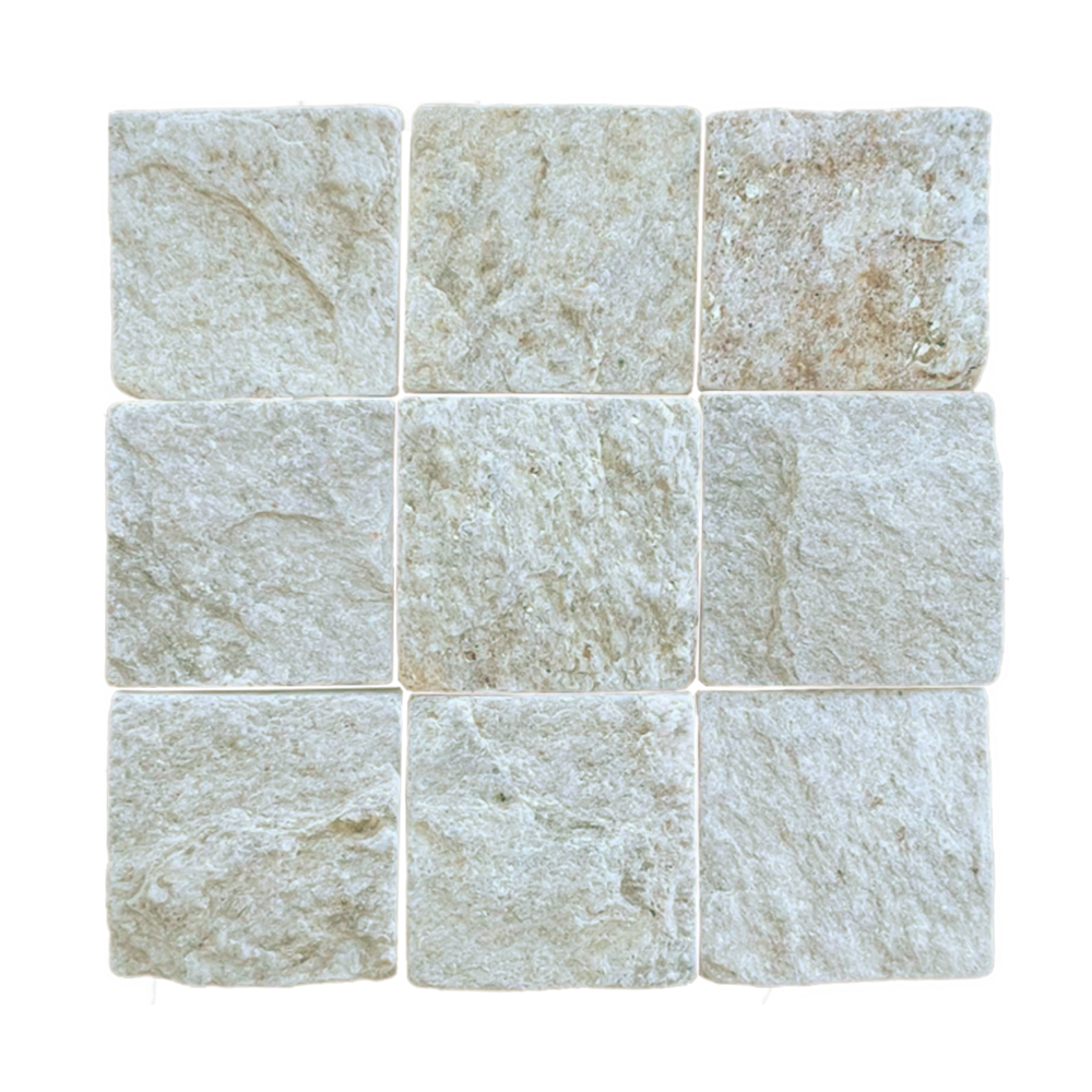 Adoquin Micosa 10x10